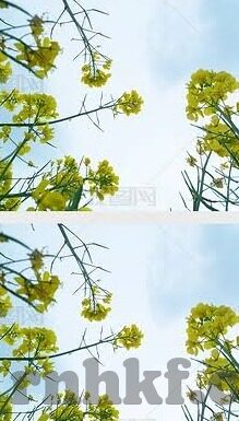 91麻豆传媒网址-91麻豆传媒的数字化直观与网络体验新纪元