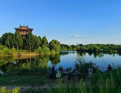 豆奶麻豆秋葵短视频-豆奶里的秘密花园，现代营养与短视频文化的微妙交融
