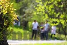 国产乱人伦av麻豆网-国产乱人伦av麻豆网，网络伦理的警钟与反思