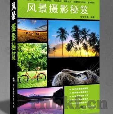麻豆免费传媒视频-探索网络时代的视觉盛宴，麻豆免费传媒视频的多样风采
