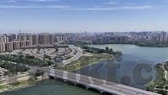 糖心app会员共享-糖心App会员共享，一个富有争议的社交现象